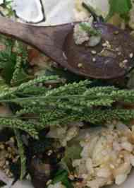 みんなが作ってる あわ ひえのレシピ クックパッド 簡単おいしいみんなのレシピが357万品