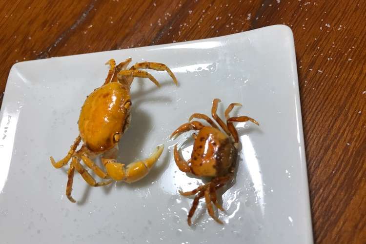 ビールのつまみに最高 サワガニの素揚げ レシピ 作り方 By だのん 彡 クックパッド 簡単おいしいみんなのレシピが364万品