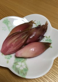 母の味♡みょうがのしそ味大根酢漬け♪