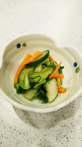 白菜とキュウリとにんじん✩浅漬け
