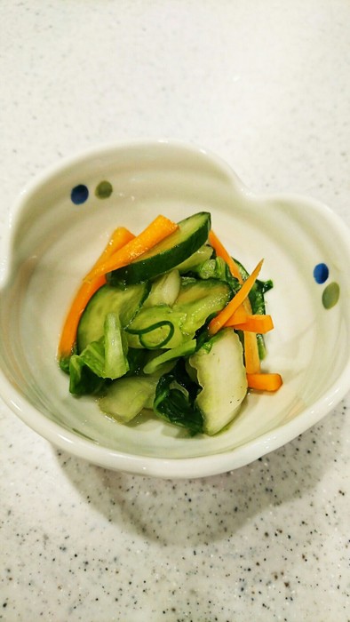 白菜とキュウリとにんじん✩浅漬けの写真