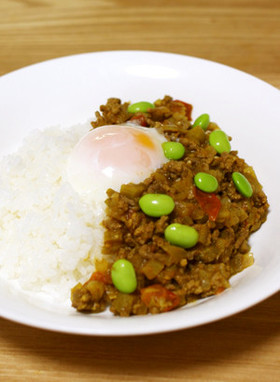 レンジで簡単!スパイシードライカレー