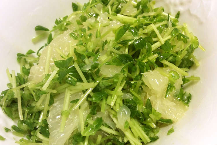 グレープフルーツと豆苗のサラダ レシピ 作り方 By ミシャコ クックパッド 簡単おいしいみんなのレシピが358万品