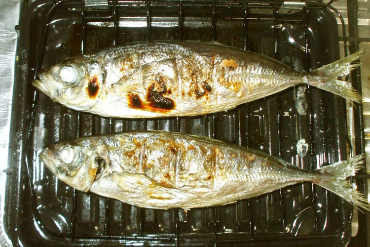 基本のアジの塩焼き 簡単 レシピ 作り方 By 漢方薬のタカキ大林店 クックパッド 簡単おいしいみんなのレシピが362万品