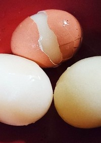 アレンジ色々♪簡単❢冷凍卵の作り方