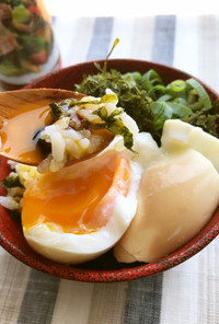 絶品オイスー♬半熟とろとろ煮卵のっけご飯