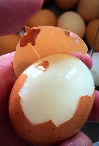 簡単！綺麗！ゆで卵の剥き方