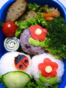 キャラ弁♪てんとう虫とお花♪