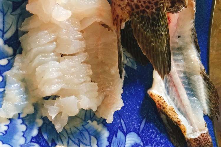 カサゴの刺身 自分で釣りました レシピ 作り方 By ほまんく クックパッド 簡単おいしいみんなのレシピが361万品