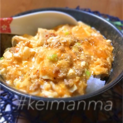 キムチ麻婆豆腐の卵とじ丼の写真