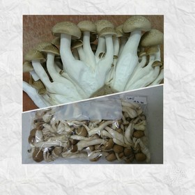 とっても便利!しめじの冷凍方法