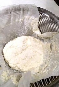 タンパク質の分離で作るカッテージチーズ