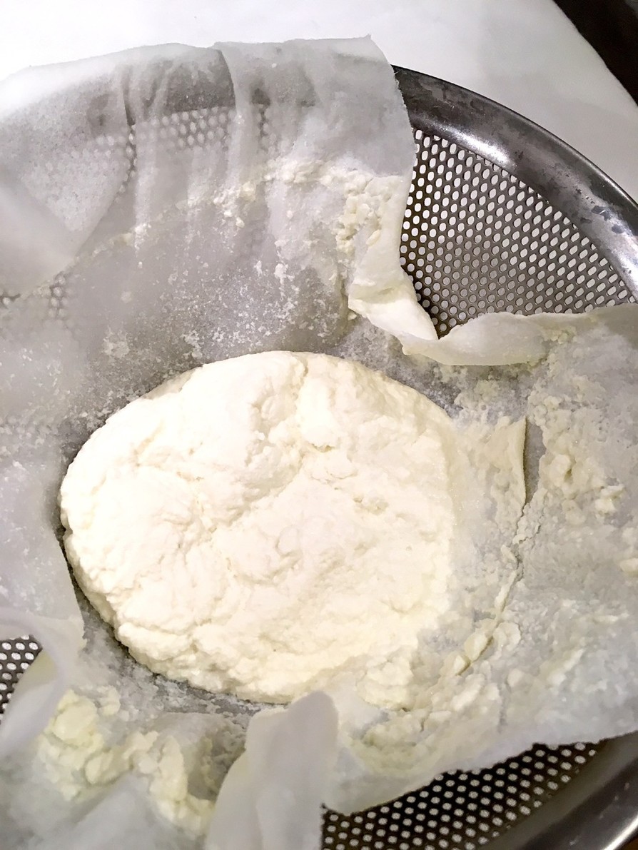 タンパク質の分離で作るカッテージチーズの画像