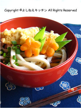 ササミのっけうどん