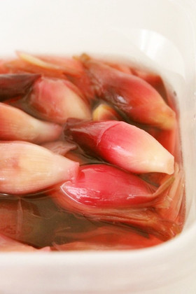 簡単♪美味♪茗荷の甘酢漬け