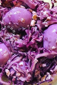 紫キャベツとウズラ卵のエスニックマリネ