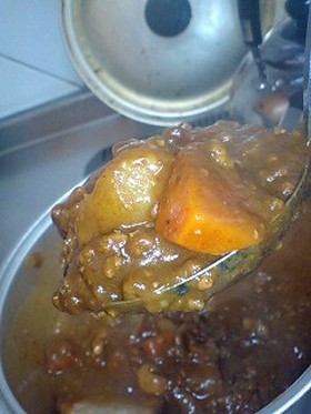 プラス1de絶品カレー