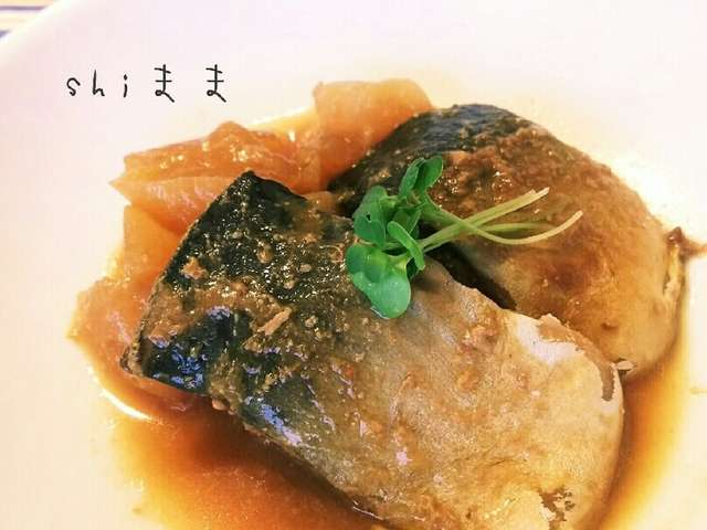 さば の 味噌 煮 圧力 鍋