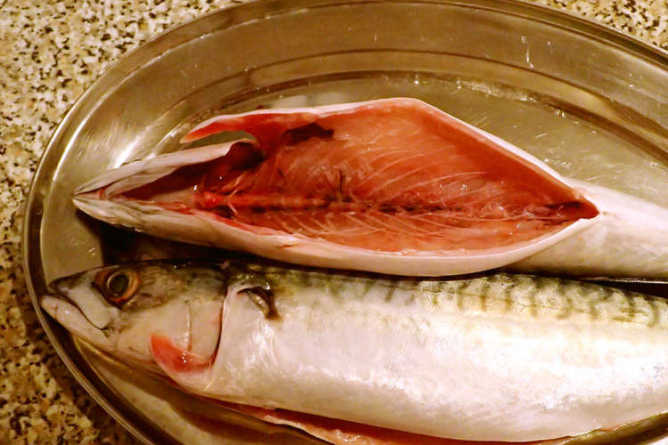 ハサミだけ 簡単な鯖のさばき方 レシピ 作り方 By Tabi Chan クックパッド 簡単おいしいみんなのレシピが356万品