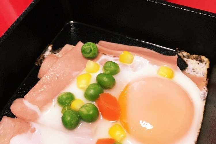 丈夫 常に ふくろう 目玉焼き スキレット Vestido De Festa Net