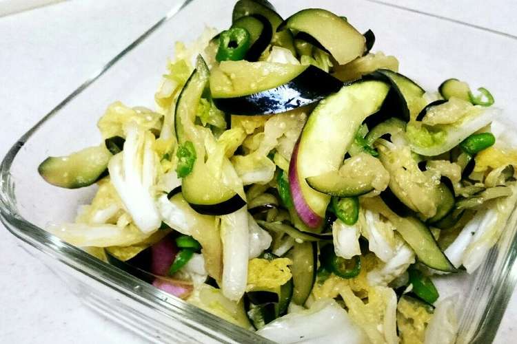 茄子と白菜の浅漬け 青唐辛子風味 レシピ 作り方 By Emis クックパッド 簡単おいしいみんなのレシピが353万品