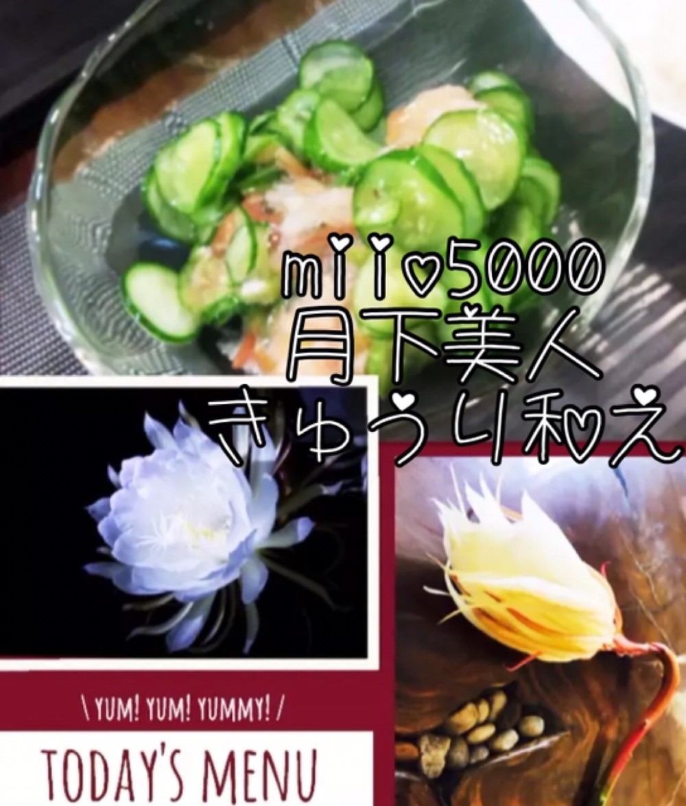 月下美人のお浸し キュウリ和え レシピ 作り方 By Miio5000 クックパッド 簡単おいしいみんなのレシピが350万品