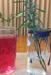 赤紫蘇ジュース(→残り葉は紫蘇味噌へ)
