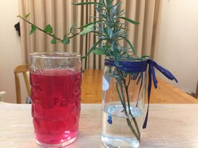 赤紫蘇ジュース(→残り葉は紫蘇味噌へ)