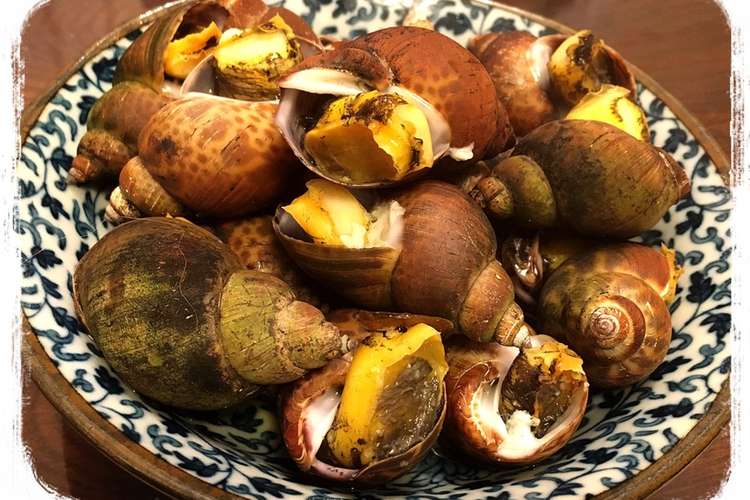 コリコリ美味しいつぶ貝の塩茹で レシピ 作り方 By Cook 244 クックパッド 簡単おいしいみんなのレシピが356万品