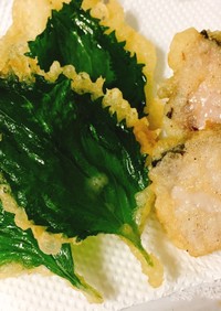 薄力粉で卵なしの天ぷら〜大葉と鰹の天ぷら