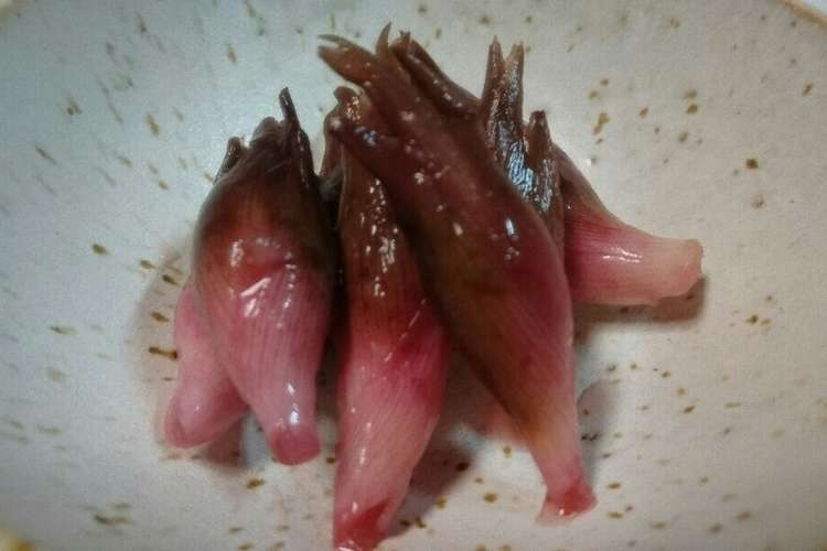 保存食 みょうが甘酢漬け 砂糖なし レシピ 作り方 By ばちこぷー クックパッド