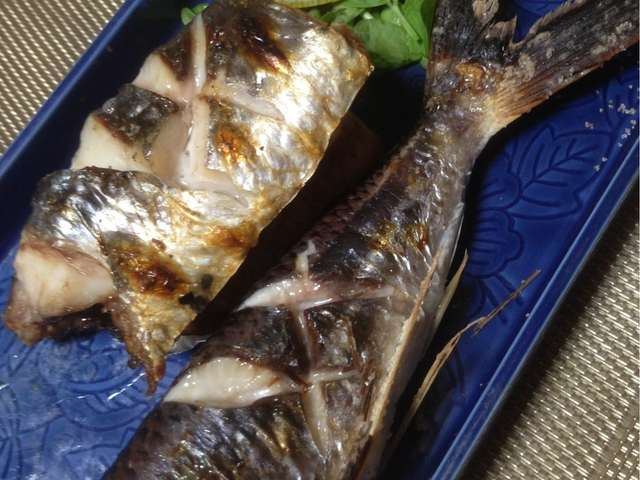 50 トビウオ 塩焼き 人気のある画像を投稿する 50 トビウオ 塩焼き 人気のある画像を投稿する