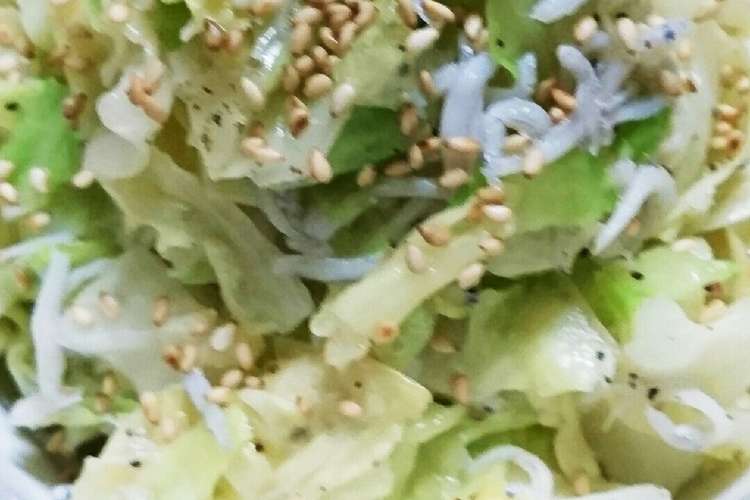 旨い しらすとキャベツ和え物 レシピ 作り方 By ﾋﾟﾛﾐ クックパッド 簡単おいしいみんなのレシピが352万品