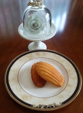 お友達に贈りたいマドレーヌ