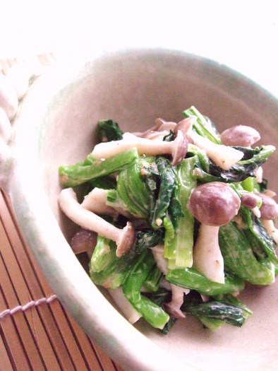 小松菜の和風サラダの写真