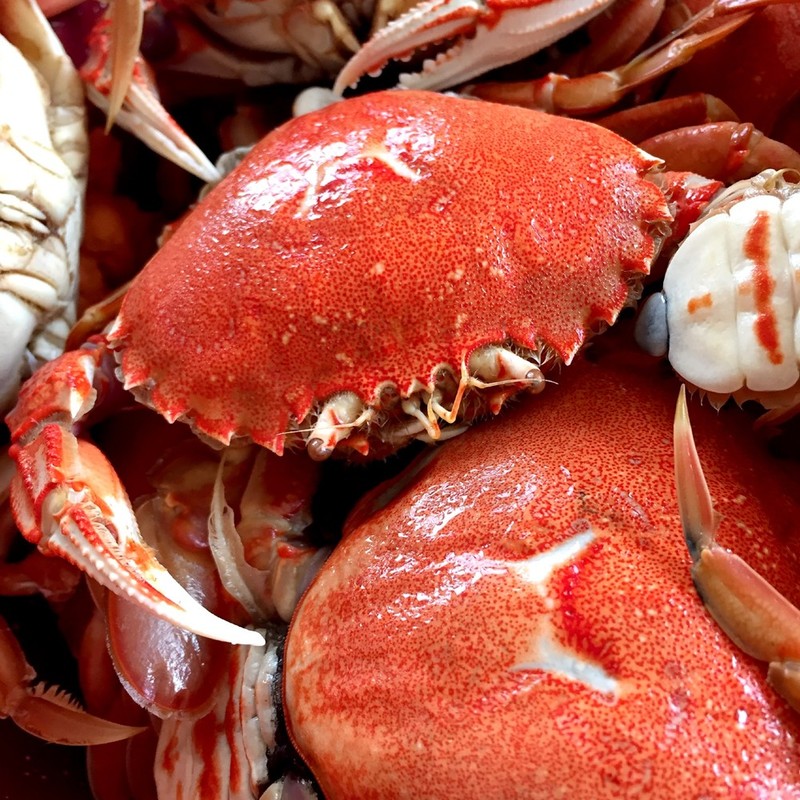 みんなが作ってる 渡り蟹のレシピ クックパッド 簡単おいしいみんなのレシピが344万品