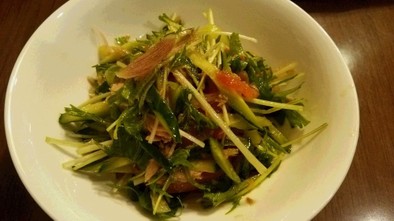 水菜ときゅうりとツナのサラダの写真