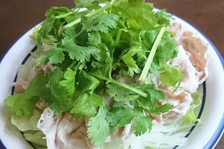 冷しゃぶサラダもりもりパクチーのせ レシピ 作り方 By くまぼぉ クックパッド 簡単おいしいみんなのレシピが350万品