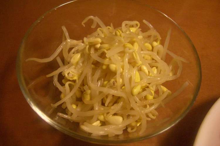 子大豆もやしの塩だれ風味和え レシピ 作り方 By びわすけキッチン クックパッド 簡単おいしいみんなのレシピが355万品