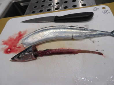 秋刀魚の腸を簡単に抜く方法の写真