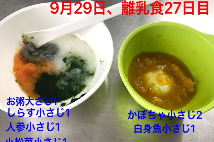 植木 流出 特別に 離乳食 白身 魚 しらす G Living Jp