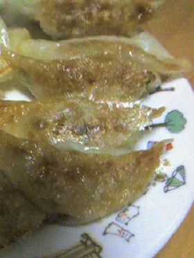 おからと白菜でギョウザ