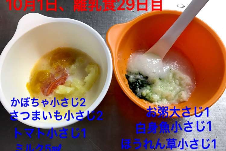 離乳食初期 かぼちゃ レシピ 作り方 By Ds24 クックパッド 簡単おいしいみんなのレシピが360万品