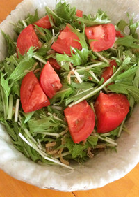 水菜とトマトの裂きイカサラダ