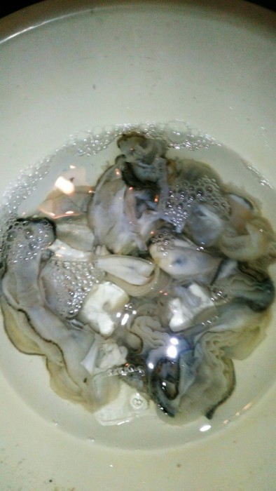 牡蠣の下処理、簡単楽ちんの写真