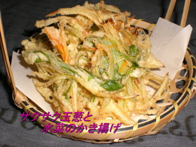 サクサク玉葱と水菜のかき揚げの写真