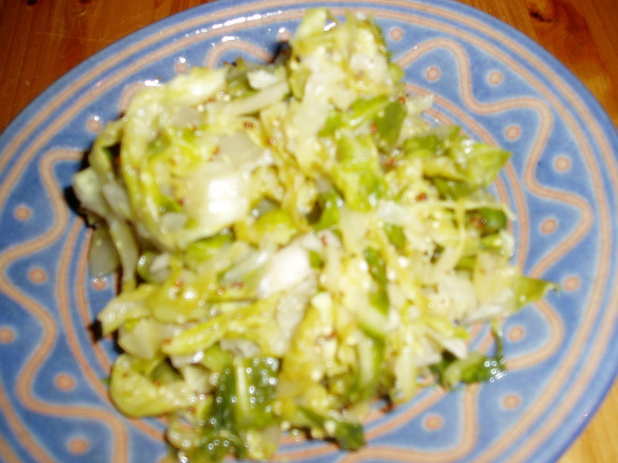 ザウアークラウト ーー徳国酸菜の画像