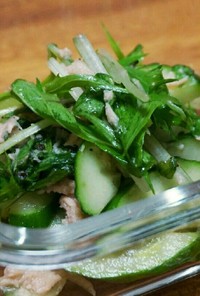 水菜と胡瓜とツナのサラダ