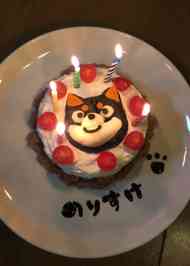 みんなが作ってる 犬のケーキのレシピ クックパッド 簡単おいしいみんなのレシピが373万品