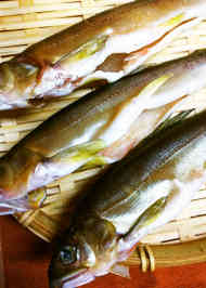 マルクス主義者 扇動する 告白する 鮎 トースター Maybe S Jp